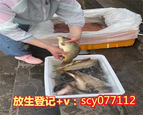 徐州鱼籽放生方法，徐州哪里可以放生刺猬，徐州九月初一放生泥鳅鳝鱼