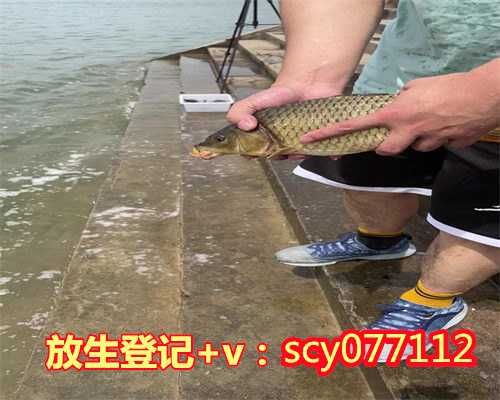 郑州生日放生的好处和坏处，郑州哪里能放生蝌蚪，郑州哪里可以放生鱼的
