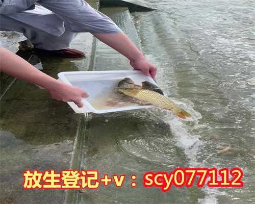 黑龙江公园放生泥鳅，黑龙江省放生小组联系方式