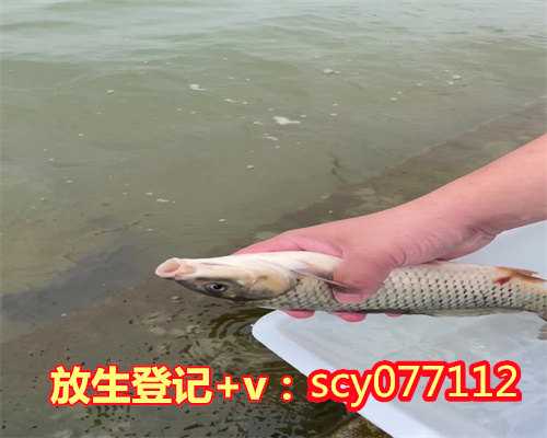 乌龟放生在长江里能活吗，芜湖一小区池塘成乌龟乐园专家：巴西龟莫随意放生
