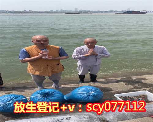 南京哪个寺庙可以放生巴西龟，江苏南京市民租船放生鱼引江豚争抢觅食