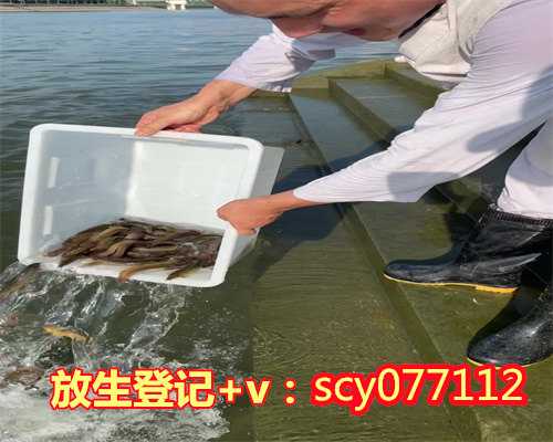哈尔滨放生财鱼在哪里，哈尔滨极乐寺隆重举行第四届短期出家法会