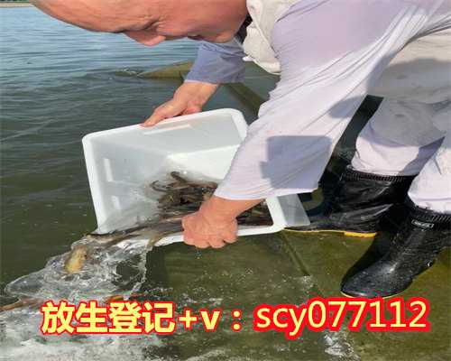 天津放生草鱼在哪里，天津药王古寺将于8月2日有序恢复开放