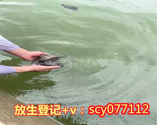 北京放生鱼去哪里买比较好，北京昌平北沙河大量死鱼漂水面因水质太差
